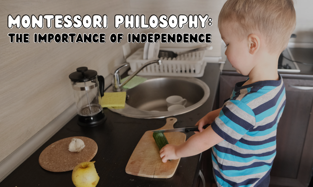 Montessori philosophy: the importance of independence