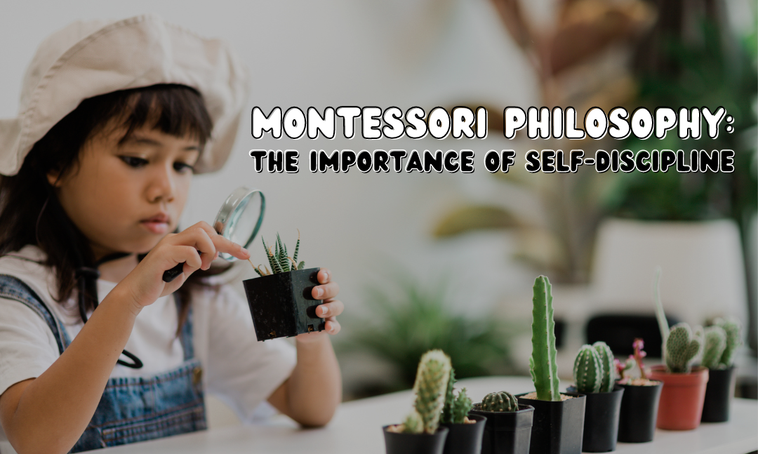 Montessori philosophy: the importance of self-discipline